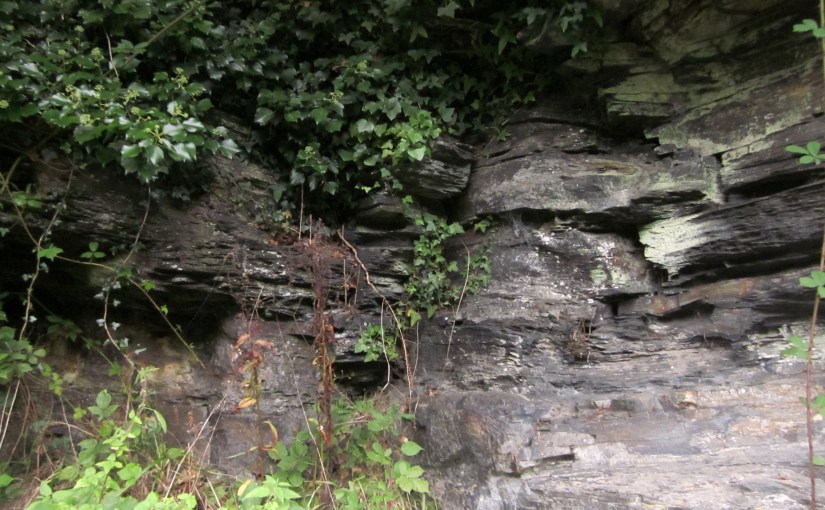 Stone near Boscastle 2010