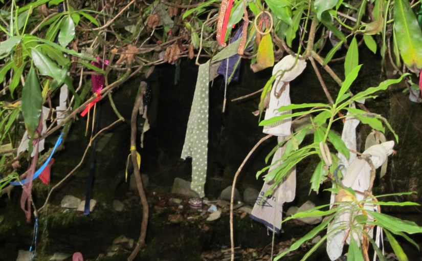 Working with Earth&nbsp;Energies