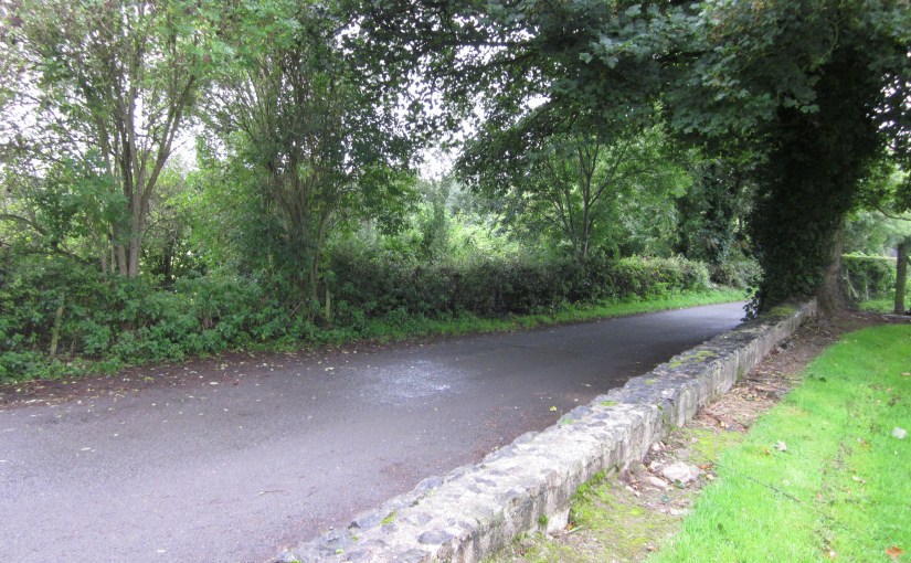 near Navan, Ireleand 2010