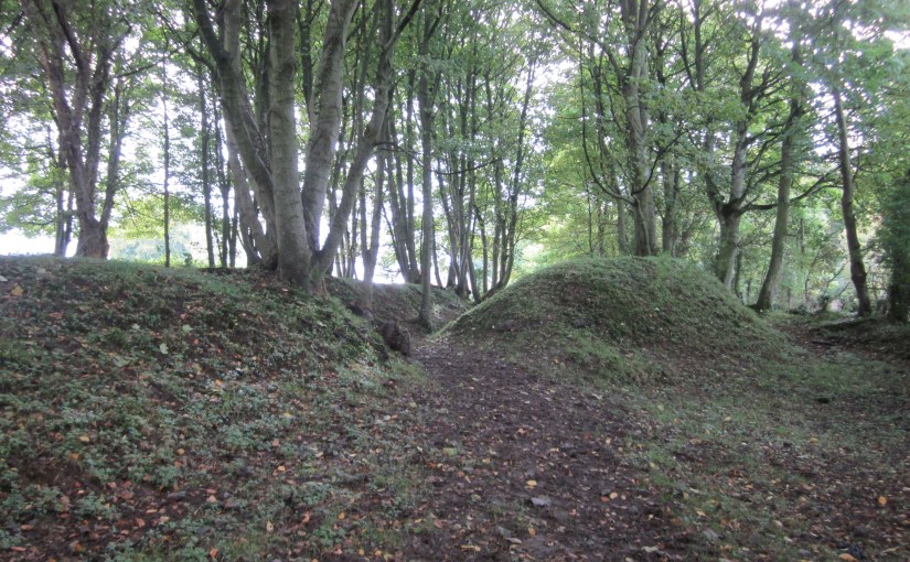 Teltown Mounds, Ireland 2010