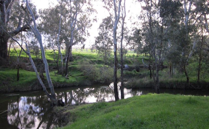 Landscape near Bendigo, Earthsong Witchcamp 2013