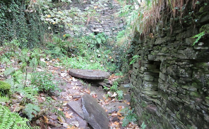 Near Boscastle, Cornwall 2010