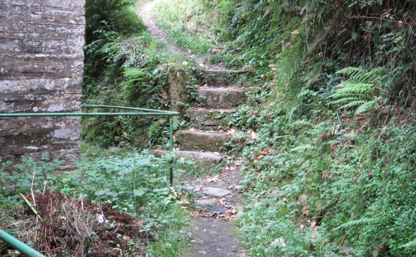 Minster Churchyard, near Boscastle 2010