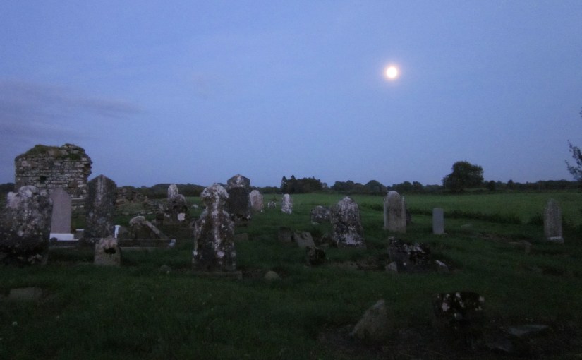 Teltdown, Ireland 2010