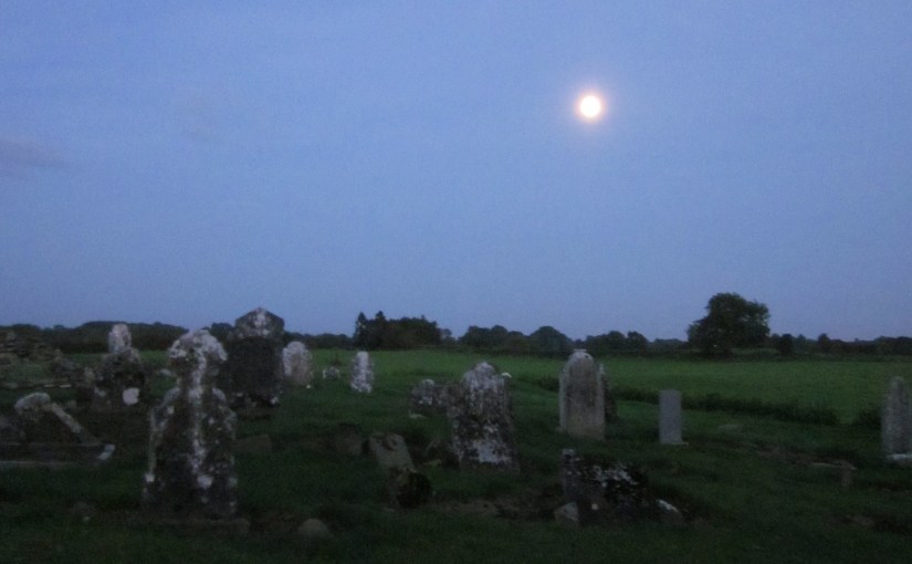 Ireland 2010, Teltdown House Graveyard, County Meath