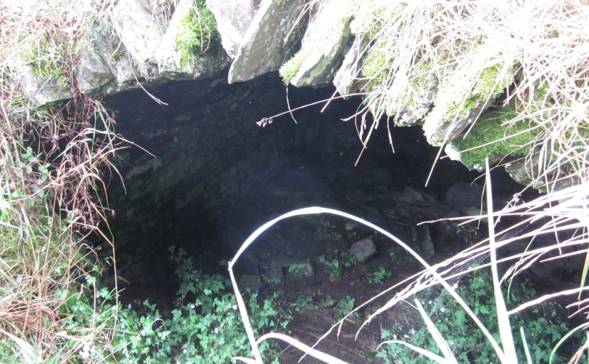Tunnel opening, Ireland 2010