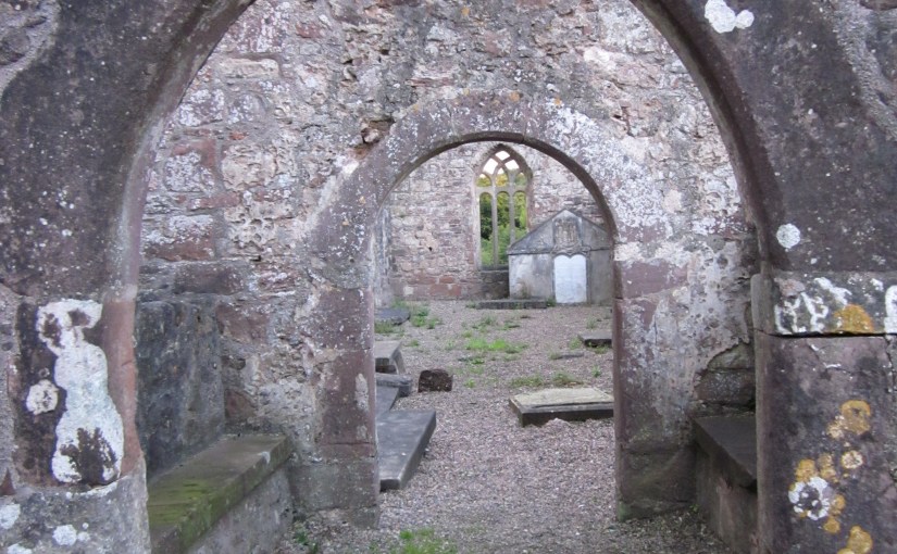 Ireland 2010 (C) AM Hunter