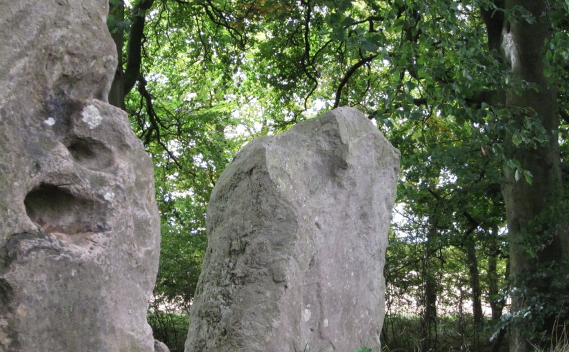 Standing stones from a long barrow tomb, trees and grass