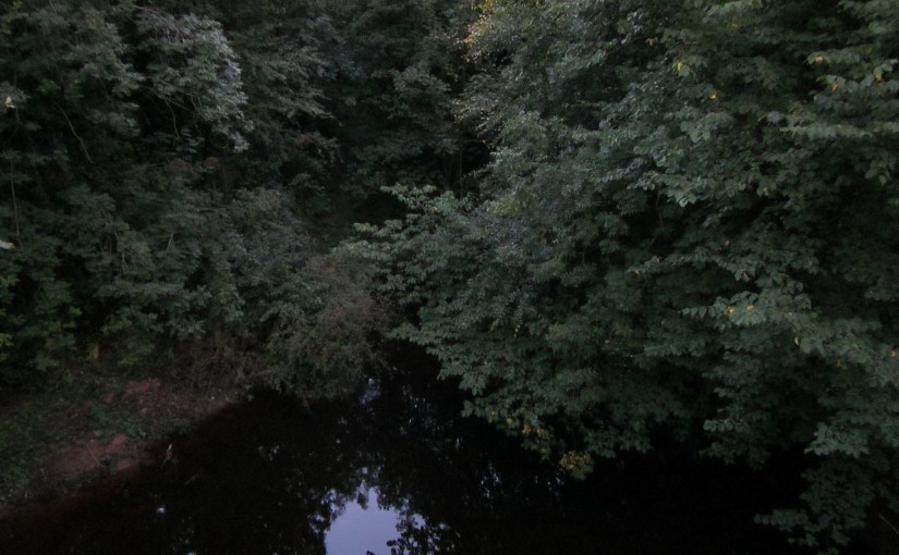 Water and trees with reflection, Ireland 2010