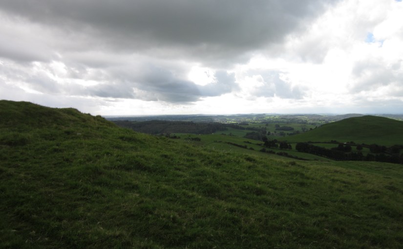 green fields with overcast sky, Ireland 2010