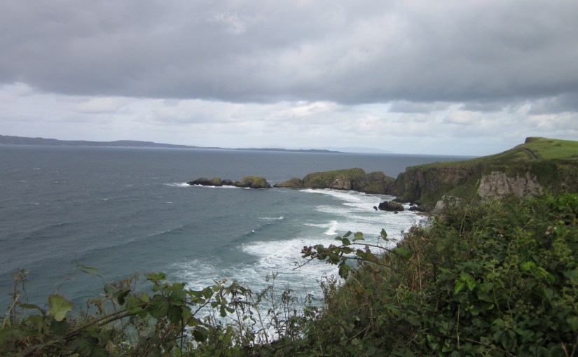 ocean view framed with rocks and plants and a cloudy sky